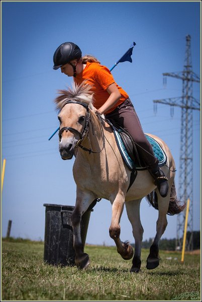 Mounted Games 198